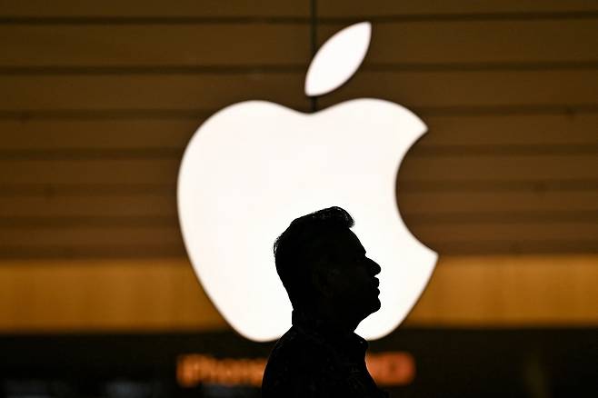 19일(현지시간) 인도 벵갈루루의 애플 매장에서 한 고객이 새로 출시된 아이폰 17을 구매하기 위해 매장을 둘러보고 있다. [AFP]