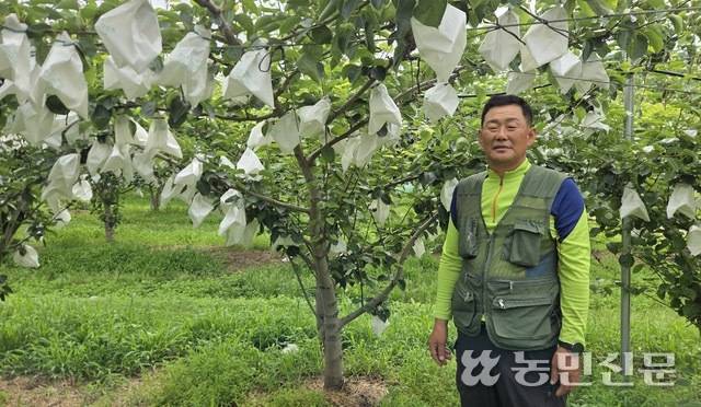 충남 아산에서 ‘그린시스’ 배를 재배하는 농민 강보식씨.