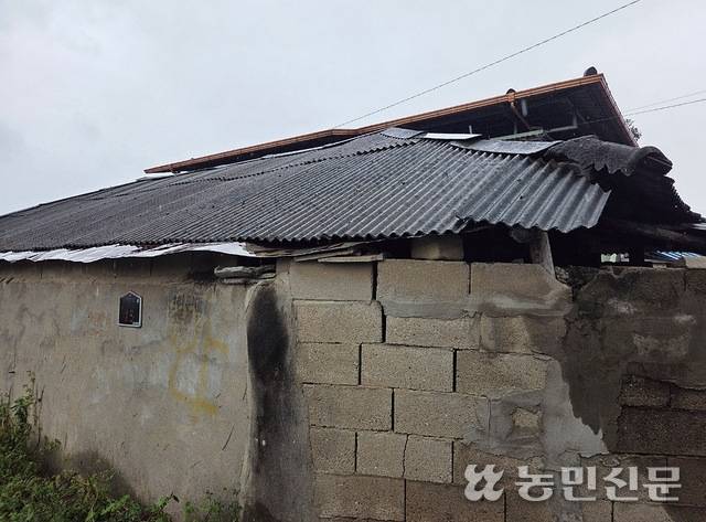 경북 고령군 쌍림면의 오래된 슬레이트 지붕 모습.