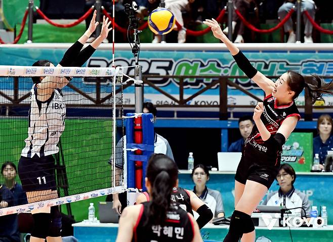 한국배구연맹 제공