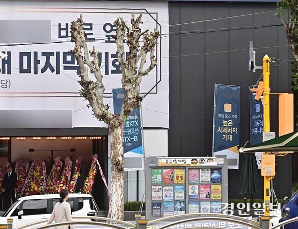 23일 오후 인천시 미추홀구 도화동의 한 모델하우스 앞 양버즘나무 한 그루의 가지가 잘려 앙상한 몸통만 남아있다. 2025.9.23 /조재현기자 jhc@kyeongin.com