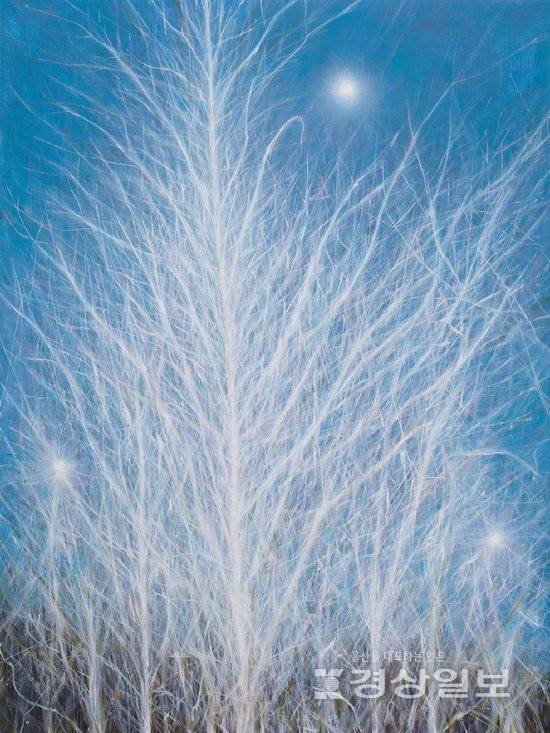 ▲ 신준민 '가시나무'