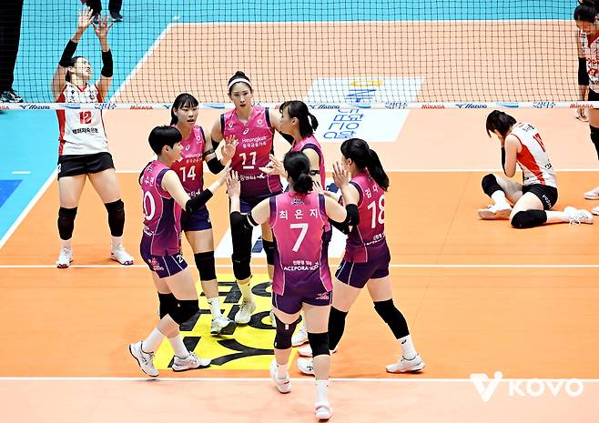 흥국생명 선수단. (KOVO 제공)