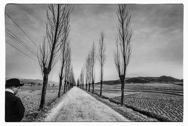 경상북도 월성(경주시 월성동) 1973 ©강운구