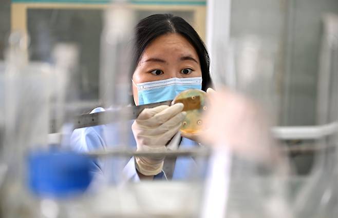 2025년 9월 17일, 중국 수산과학원 남중국해 어업연구소 직원이 중국 남부 하이난성 링수이 리족 자치현에서 황다랑어 양식에 대한 연구를 진행하고 있다. /연합뉴스