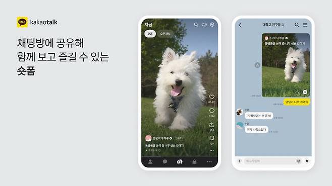 카카오가 카카오톡 세번째 탭을 '지금탭'으로 개편하고, 숏폼을 스크롤식으로 보며 대화방에 바로 공유할 수 있도록 했다.ⓒ카카오