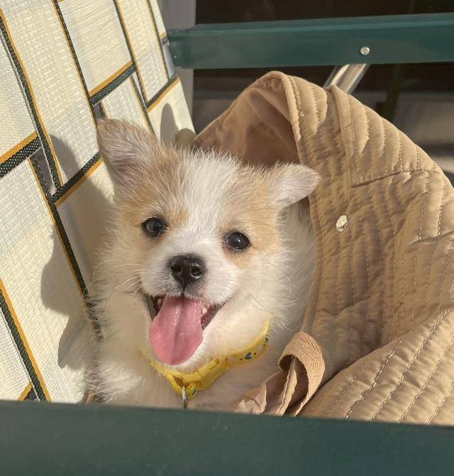 이렇게 웃어주면 고민과 걱정 싹 잊을듯!