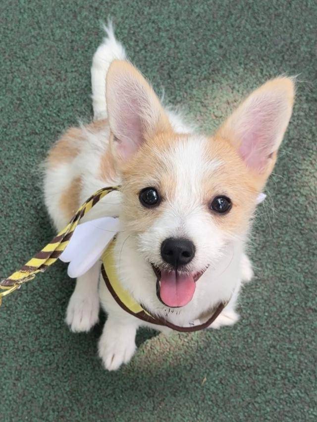 커서도 사랑스러운 미소는 여전해