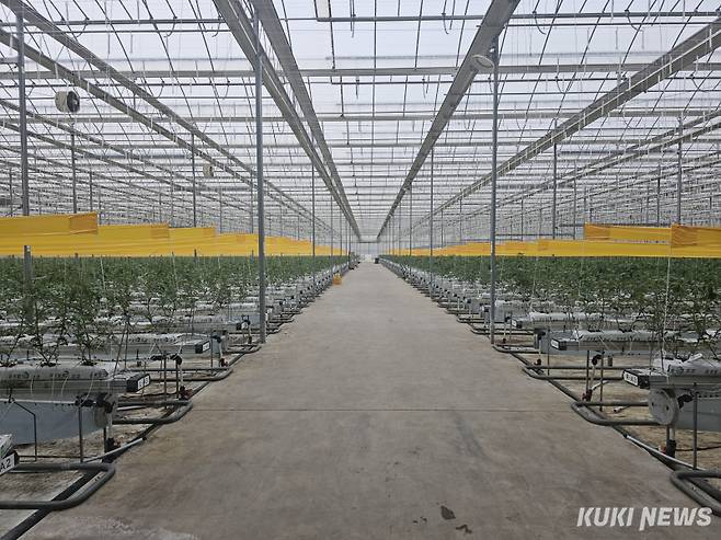 당진 스마트팜 온실 단지 노후화로 개·보수가 시급하다는 자체 진단이 나왔다. 사진=이은성 기자&nbsp;