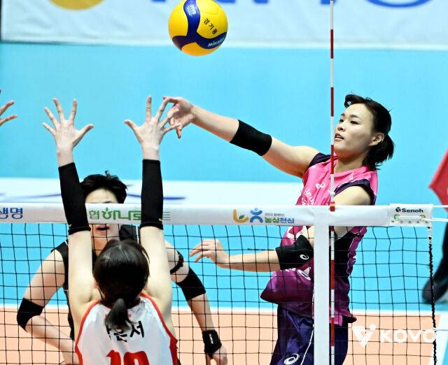 흥국생명 문지윤./KOVO