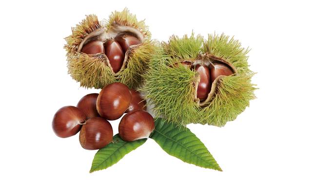 클립아트코리아