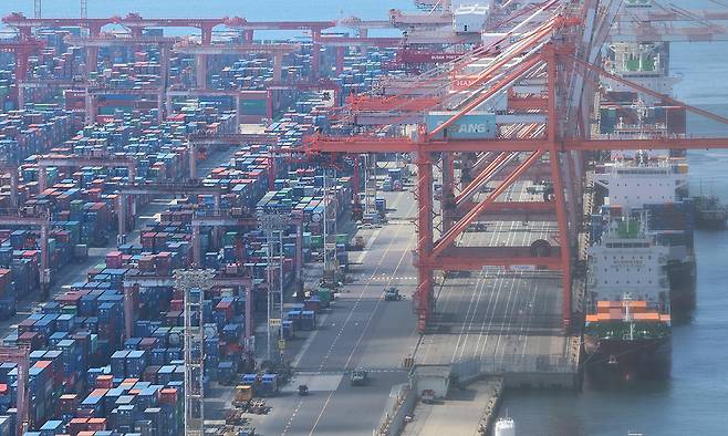 부산항 신선대부두에 컨테이너가 가득 쌓여 있는 모습. 연합뉴스