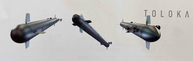 수중 드론 톨로카 모델