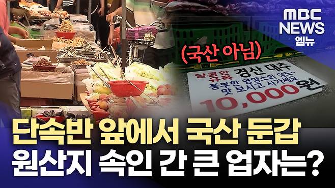 뉴스 관련 사진