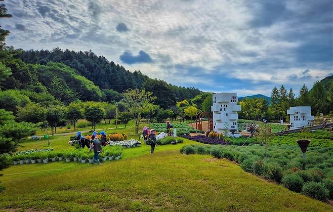 ▲ 백두대간 봉자페스티벌