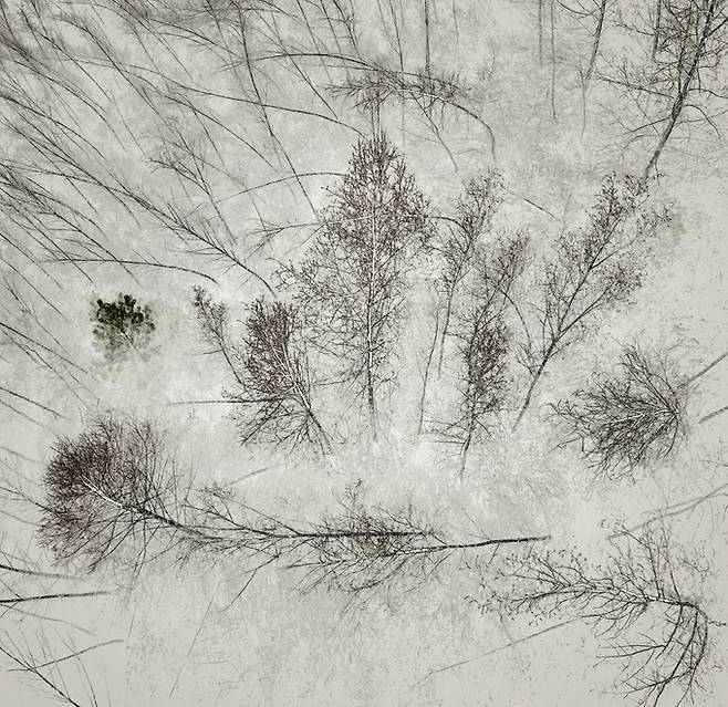 ▲ 이만우 자작 2025.