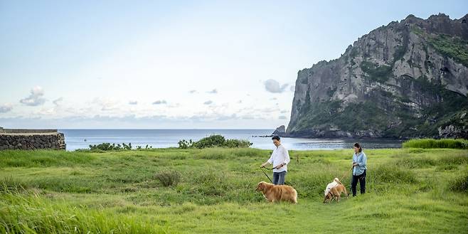 제주도정 소식지 '제주' 가을호 중에 수록된 계절 산책 사진.