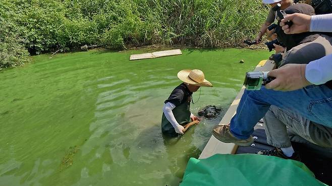 지난 3일 곽상수 창녕환경운동연합 의장이 낙동강에 들어가 검사용 흙을 뜨고 있다. 환경운동연합 제공.