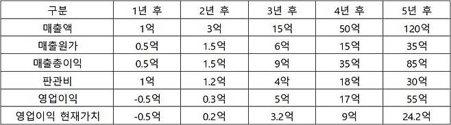 5개년 사업계획 예시 / 출처= 최대한 회계사