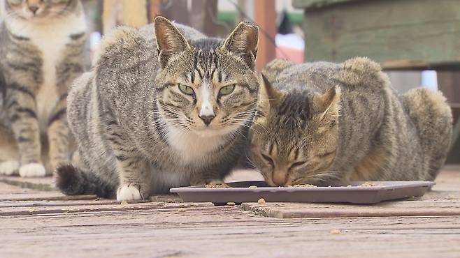 사진은 기사 내용과 관련 없음