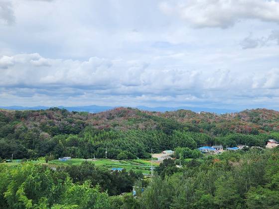 지난 22일 경북 포항시 남구 오천읍 광명일반산업단지에서 내려다본 포항시 모습. 소나무재선충병에 감염된 고사목들이 능선을 따라 띠를 이루고 있다. 김정석 기자