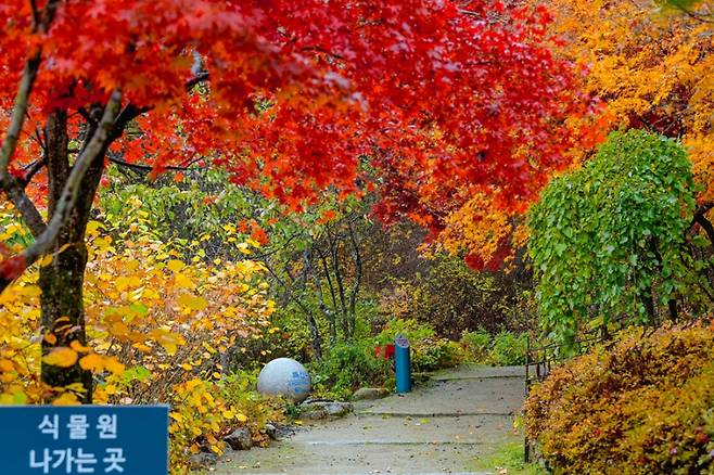 국립한국자생식물원. 한국수목원정원관리원
