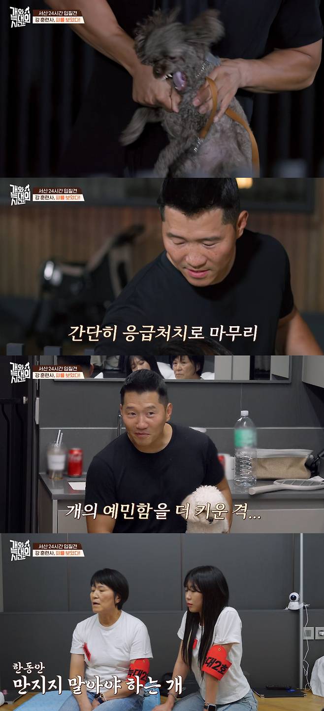 犬のトレーナーであるKang Hyung -Wookは事故に遭っていました。 /photo =チャンネルA「犬とオオカミの時間」ブロードキャスト画面