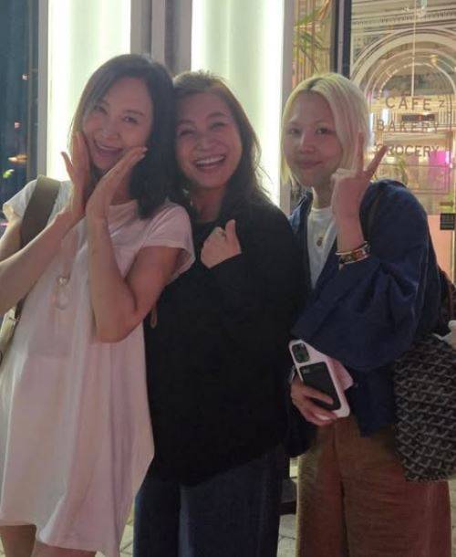 채시라 소셜네트워크서비스 계정