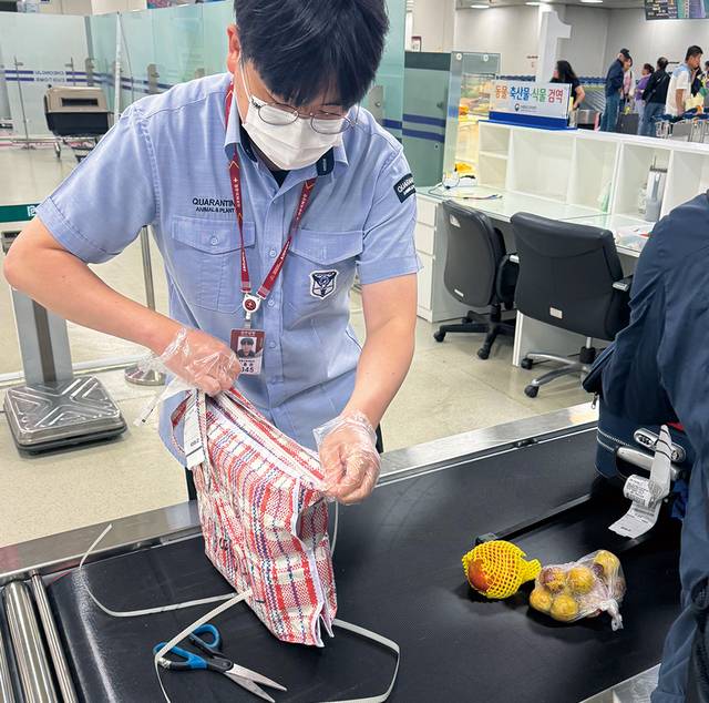 충북 청주국제공항에서 농림축산검역본부 중부지역본부 소속 검역관이 여행객 휴대품을 검사하고 있다. 농림축산검역본부