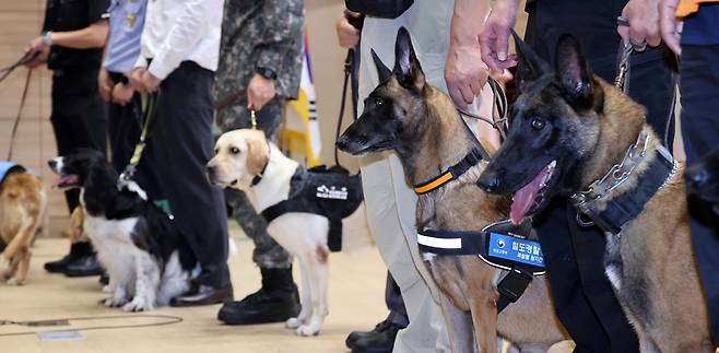 23일 오후 서울 여의도 국회 의원회관에서 열린 '봉사동물 지원 법적 근거 마련을 위한 국회 정책포럼'에서 7마리의 국가 봉사동물들이 소개되고 있다. 뉴시스