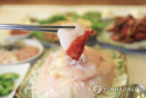 민어회 [연합뉴스 자료 사진]