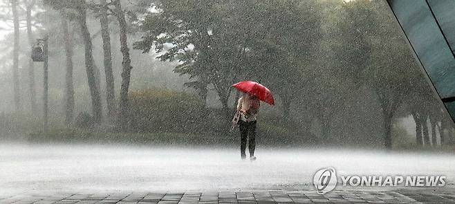 폭우를 뚫고 (세종=연합뉴스) 양영석 기자 = 세종시 보람동 세종시청 주변에 강한 바람과 함께 많은 비가 내린 가운데, 우산을 쓴 한 시민이 폭우 속을 걷고 있다. 2025.9.17 youngs@yna.co.kr