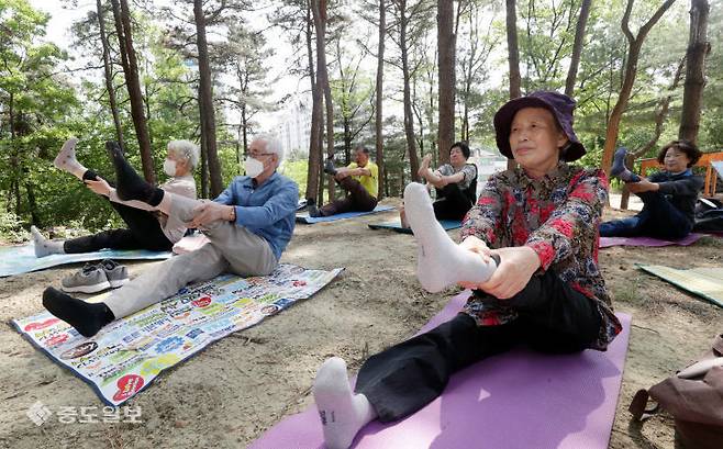대전 유성구노인복지관 평생교육원 숲요가 교실에 참석한 어르신들이 야외에서 요가를 하고 있다. 이성희 기자 token77@