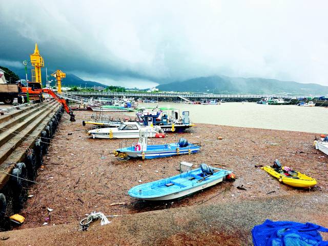 남강댐 방류로 사천시 대포항 일대가 나뭇가지 등 각종 쓰레기로 뒤덮여 있다./경남신문DB/
