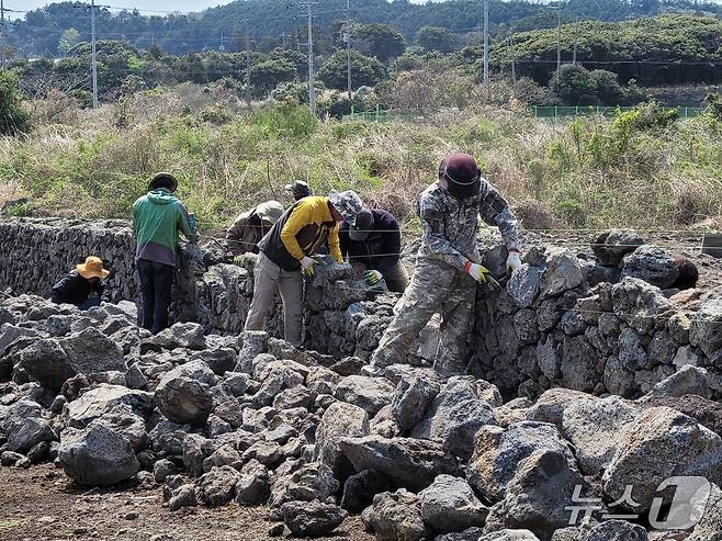 '제주 돌담 쌓기'를 유네스코 인류무형문화유산으로 등재하는 움직임이 본격화한다.(제주돌문화공원관리소 제공. 재판매 및 DB 금지)/뉴스1