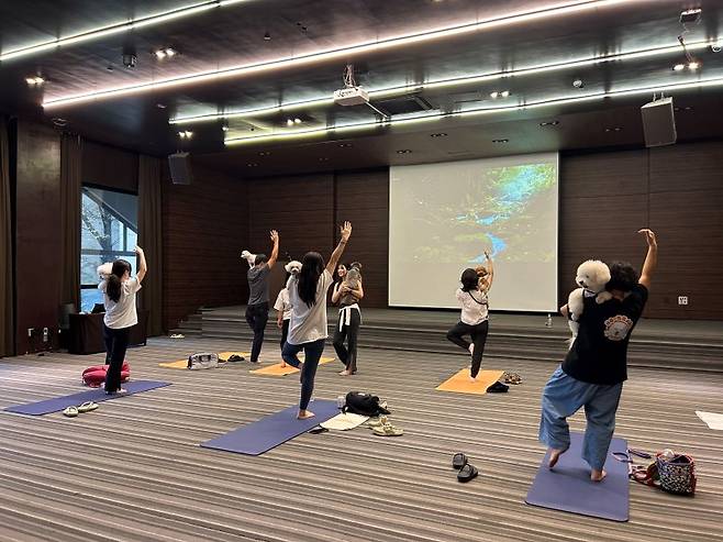 이랜드파크 켄싱턴리조트 충주에서 펫 요가를 하고 있는 반려동물들 모습 이랜드파크 제공