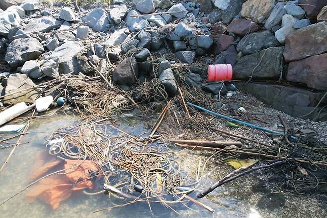 고흥군 백일리의 항구 해양보호구역인데 어업 쓰레기. 밧줄과 스티로폼, 플라스틱 통이 수변에 널려 있다. 녹색연합 해양환경기록단