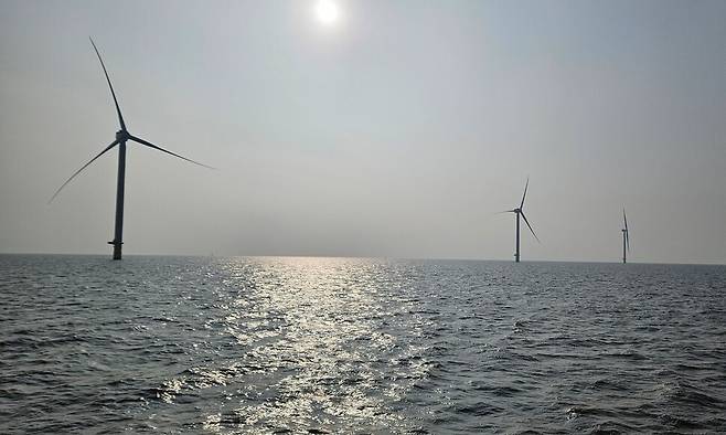 전남 신안 해상 풍력 단지. 전남도 제공