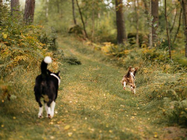 게티이미지뱅크