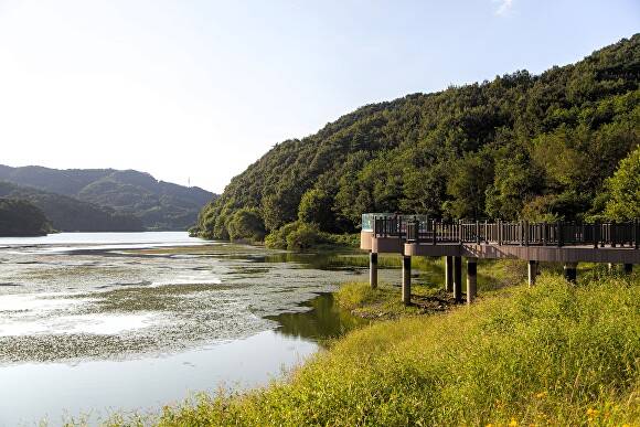 안성 금광호수 수석정 수변화원. [사진=경]