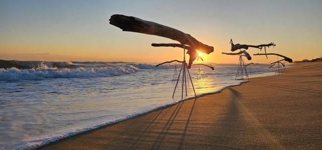 ▲&nbsp; 이하림 작 ‘바다가 보았다’