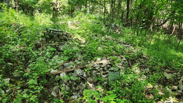 ▲ 강원대학교 학술림 내 옛 화전민터. 돌담 등 과거 화전민들의 삶의 흔적이 남아있다