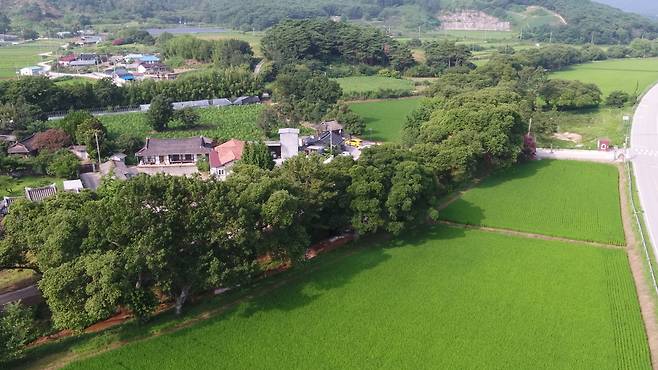 국가지정자연유산 천연기념물로 지정된 전북 고창군 성송면 하고리 삼태마을숲. 국가유산청 제공