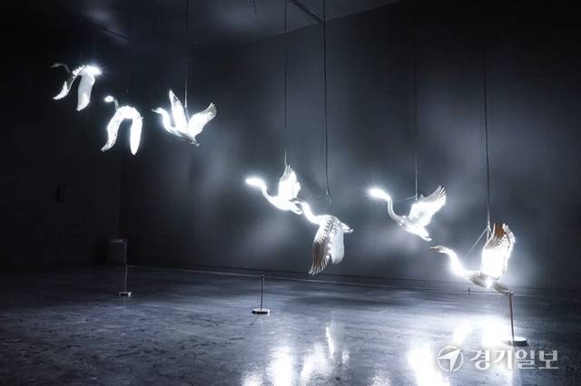 2025 양평이 주목하는 청년작가전(양경렬·이재형) 중 이재형 작가의 'BENDING MATRIX_SWAN'. 양평군립미술관 제공