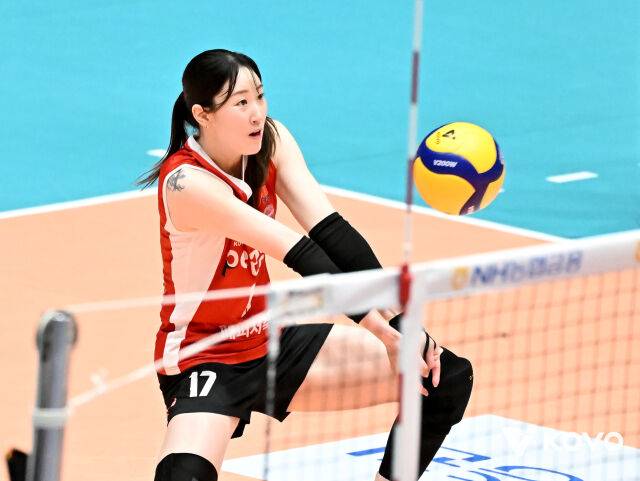 리시브하는 고예림./KOVO