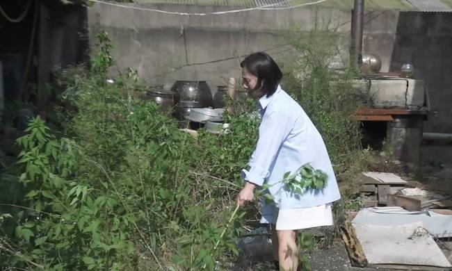 MBC ‘나 혼자 산다’ 제공