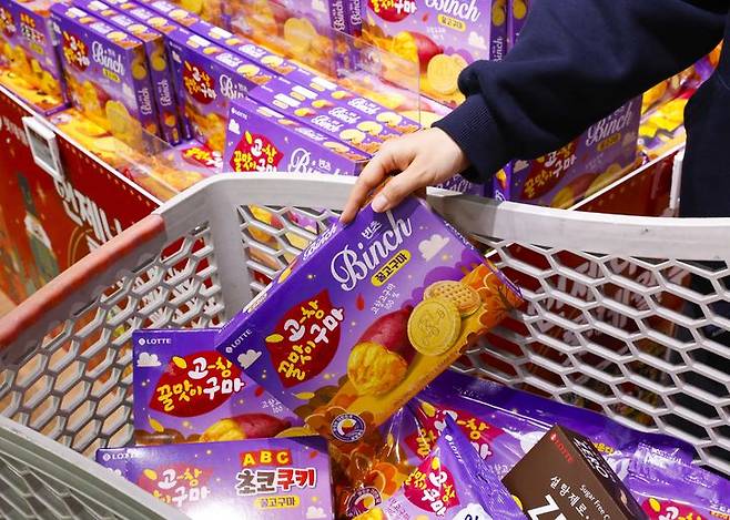 서울 한 대형마트에서 롯데웰푸드의 고창 꿀고구마 한정판을 구매하고 있는 소비자의 모습. (사진=롯데웰푸드 제공)  *재판매 및 DB 금지
