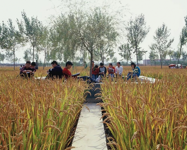 중국 선양 건주대학교의 논밭학교. 투렌스케이프 홈페이지 캡처
