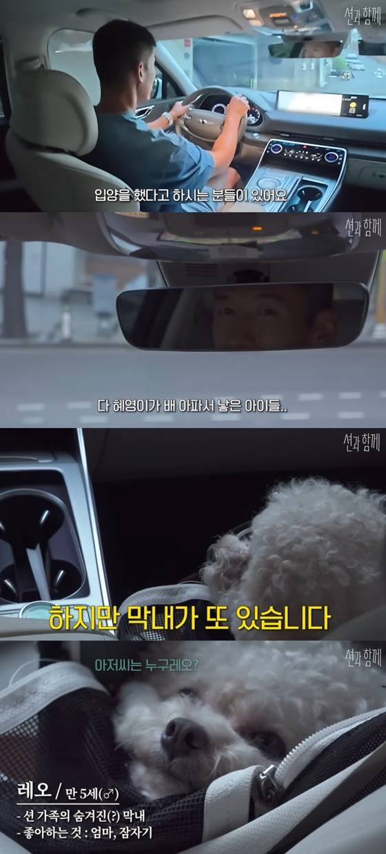 /사진=유튜브 채널 '션과 함께' 캡처