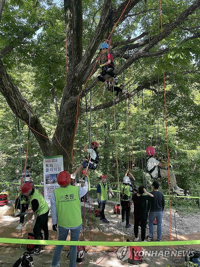 "산악영화제서 클라이밍도 즐겨요" (울산=연합뉴스) 오는 26일부터 30일까지  울산에서 열리는 국내 유일 국제산악영화제인  제10회 울산울주세계산악영화제가 단순한 영화 상영을 넘어 미취학 아동부터 노년층까지 전 세대가 함께 즐길 수 있는 종합 문화축제로 도약한다. 영화제는 가족 단위가 참여할 수 있는 클라이밍 등 다양한 프로그램을 준비한다. 사진은  트리클라이밍 즐기는 모습. 2025.9.5 [울산울주세계산악영화제 제공.재판매 및 DB 금지] young@yna.co.kr